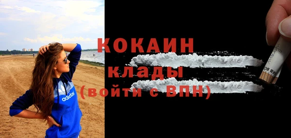 мяу мяу мука Гусь-Хрустальный