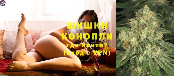 мяу мяу мука Гусь-Хрустальный