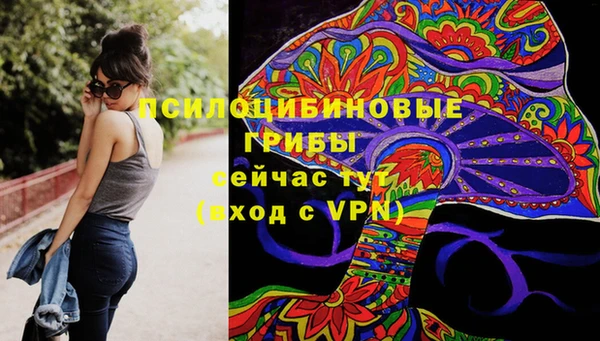 марки lsd Гусиноозёрск