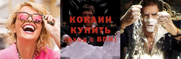 мяу мяу мука Гусь-Хрустальный