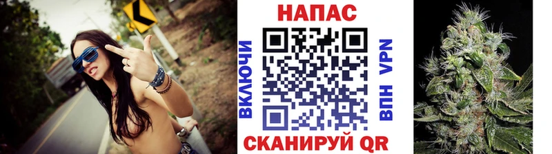 как найти   Облучье  Шишки марихуана OG Kush 